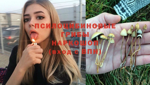 амф Михайлов