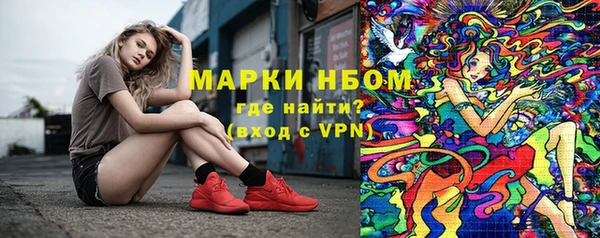 СК Медногорск