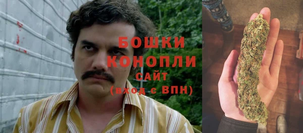 герыч Мегион