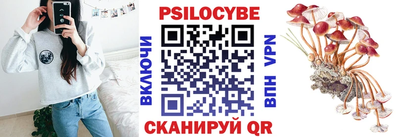 где купить Егорьевск Псилоцибиновые грибы мухоморы