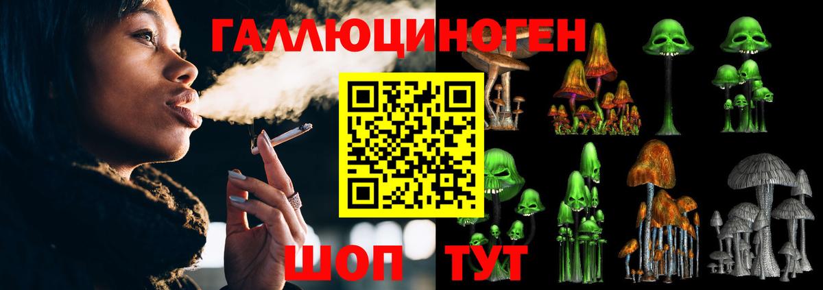 Псилоцибиновые грибы мицелий  Вход с VPN  Егорьевск  Галлюциногенные грибы мицелий 