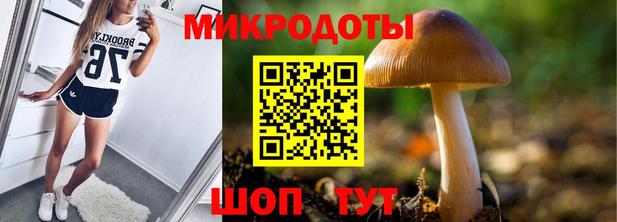 Псилоцибиновые грибы GOLDEN TEACHER  цена   Егорьевск 